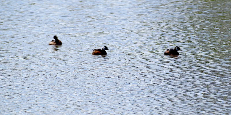 OPORTUNIDAD IMPERDIBLE!!! LOTE EN CLUB DE CAMPO LAS HOJAS