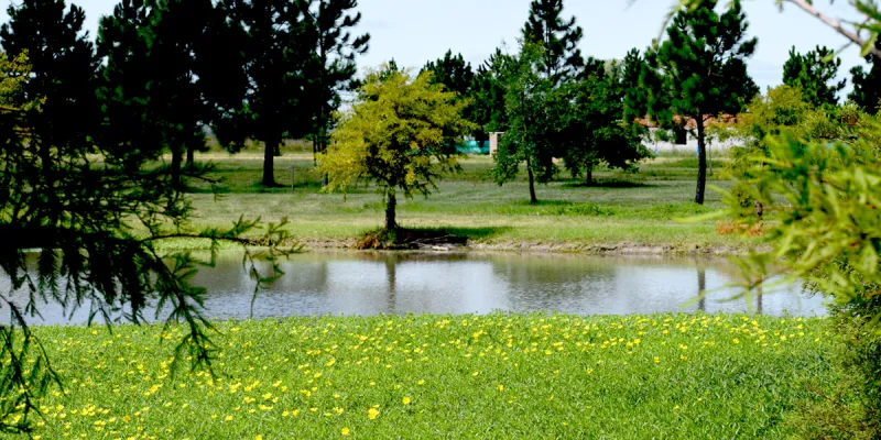 OPORTUNIDAD IMPERDIBLE!!! LOTE EN CLUB DE CAMPO LAS HOJAS